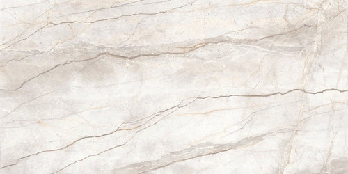 Silver Root White